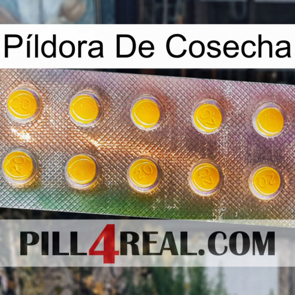 Píldora De Cosecha new11.jpg